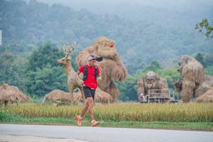 BIB: 
                            <button type="button" onclick="openModal(22305401)" class="btn btn-primary btn-sm float-right btn-popup" data-toggle="modal" data-target=".modal-high-quality">
                        <i class="fas fa-shopping-cart"></i> Add to Cart
                    </button>
                                            <button type="button" onclick="isThisMe(22305401, true)" class="btn btn-success btn-sm float-right btn-popup btn-isme hidden" data-toggle="tooltip" data-placement="bottom" title="นี่คือรูปของคุณใช่ไหม คลิกที่นี่เพื่อเอาเข้าอัลบั้ม">
                        <i class="fas fa-plus"></i> Add to album
                    </button>
                    <button type="button" onclick="isThisMe(22305401, false)" class="btn btn-warning btn-sm float-right btn-popup btn-isnotme hidden">
                        <i class="fas fa-ban"></i> Remove from album
                    </button>